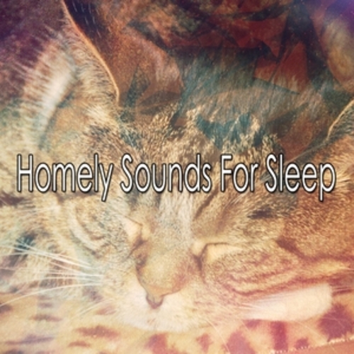 Afficher "Homely Sounds For Sleep"
