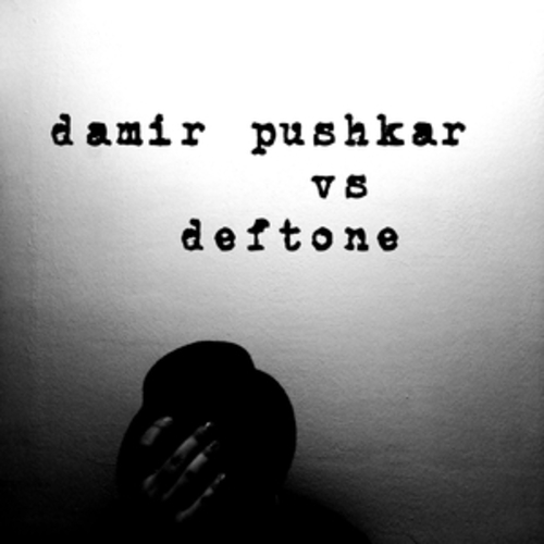 Afficher "Damir Pushkar vs. Deftone"