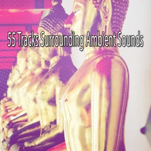 Afficher "55 Tracks Surrounding Ambient Sounds"