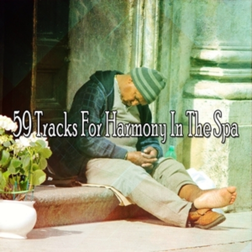 Afficher "59 Tracks For Harmony In The Spa"