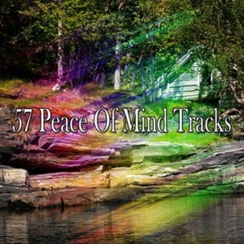 Afficher "57 Peace Of Mind Tracks"