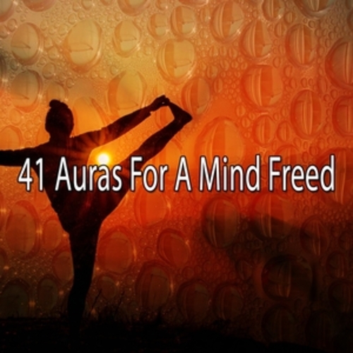 Afficher "41 Auras For A Mind Freed"