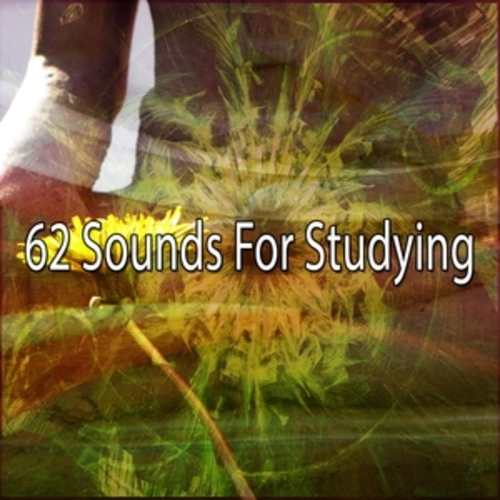 Afficher "62 Sounds For Studying"