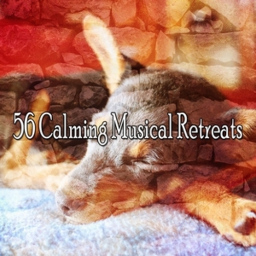 Afficher "56 Calming Musical Retreats"