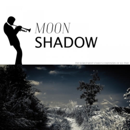 Afficher "Moon Shadow"