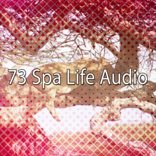 Afficher "73 Spa Life Audio"