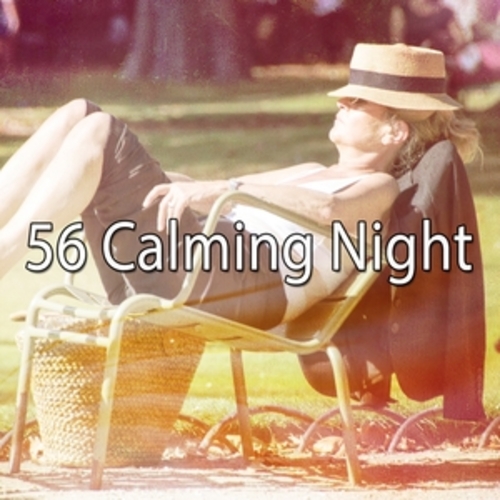 Afficher "56 Calming Night"