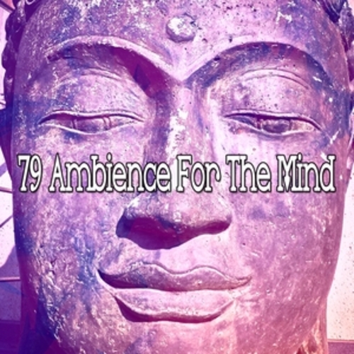 Afficher "79 Ambience For The Mind"