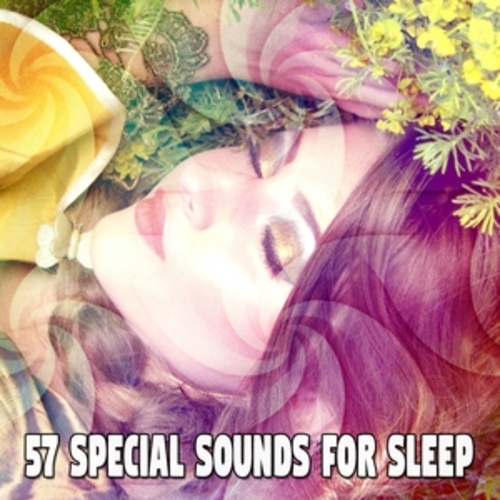 Afficher "57 Special Sounds For Sleep"