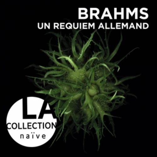 Afficher "Brahms: Un requiem allemand, Op. 45"