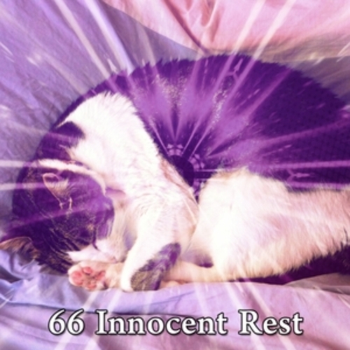 Afficher "66 Innocent Rest"