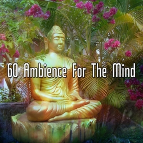 Afficher "60 Ambience For The Mind"