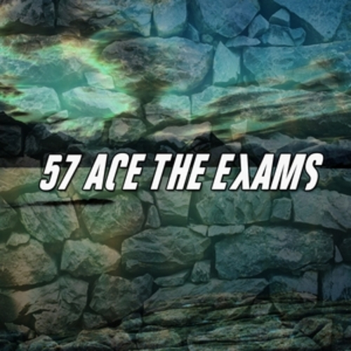 Afficher "57 Ace The Exams"