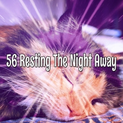 Afficher "56 Resting The Night Away"