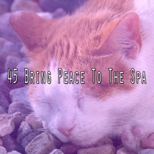 Afficher "45 Bring Peace To The Spa"