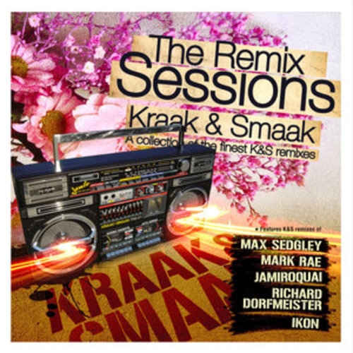 Afficher "The Remix Sessions"