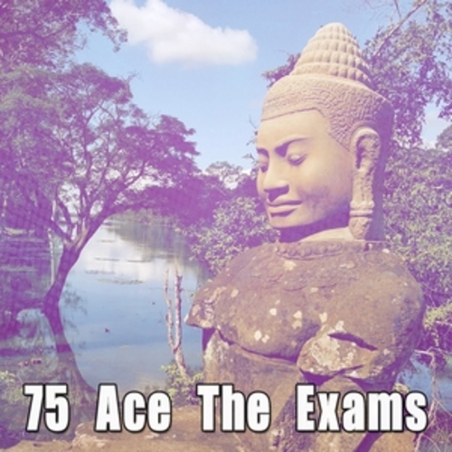 Afficher "75 Ace The Exams"