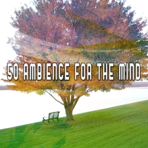 Afficher "50 Ambience For The Mind"