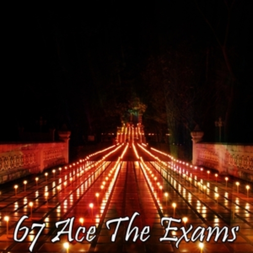 Afficher "67 Ace The Exams"
