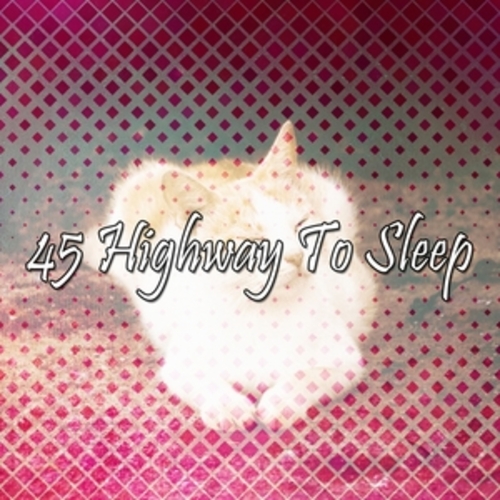 Afficher "45 Highway To Sleep"