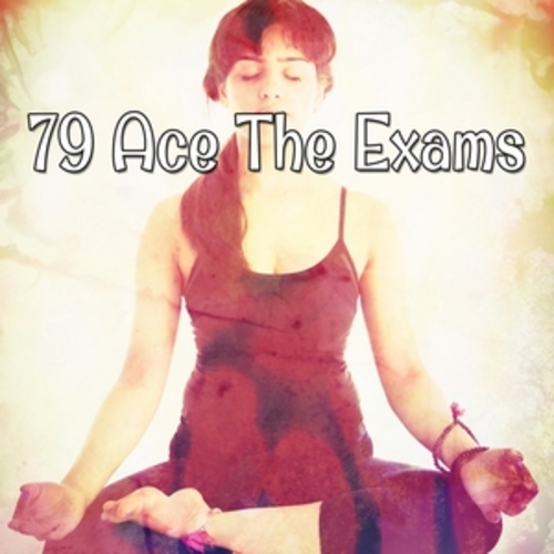 Afficher "79 Ace The Exams"