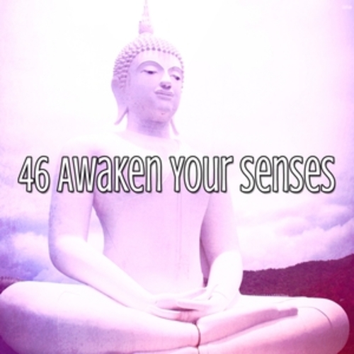 Afficher "46 Awaken Your Senses"