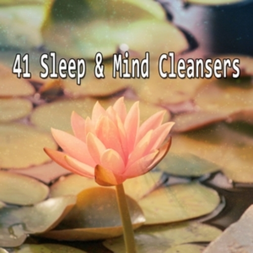 Afficher "41 Sleep & Mind Cleansers"
