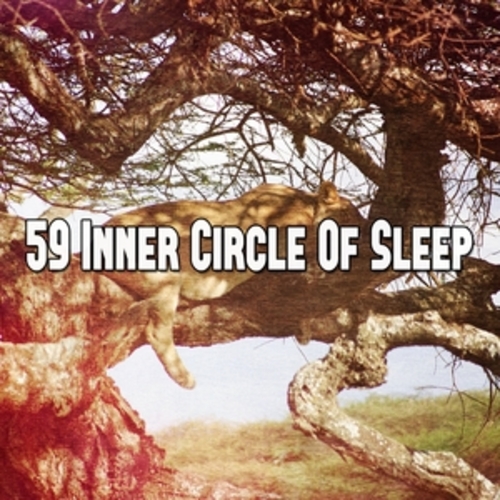 Afficher "59 Inner Circle Of Sleep"