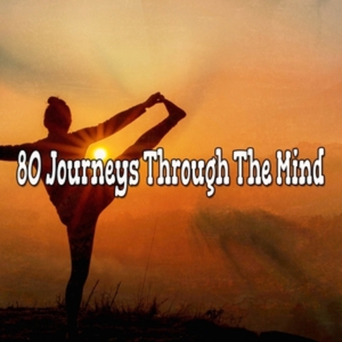 Afficher "80 Journeys Through The Mind"