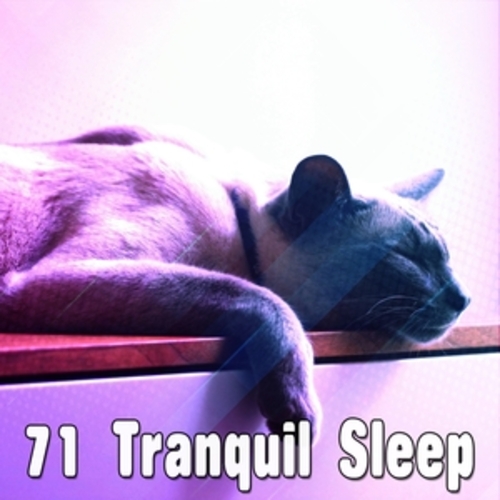 Afficher "71 Tranquil Sleep"