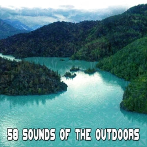 Afficher "58 Sounds Of The Outdoors"