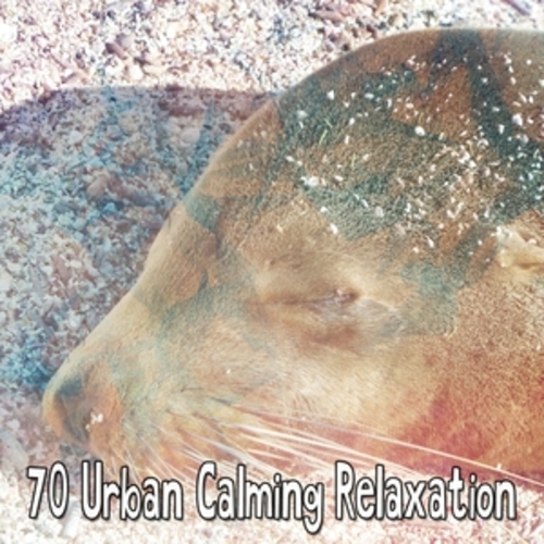Afficher "70 Urban Calming Relaxation"