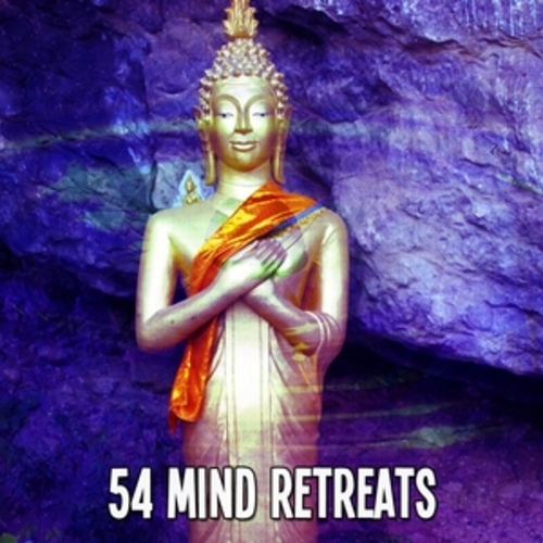 Afficher "54 Mind Retreats"
