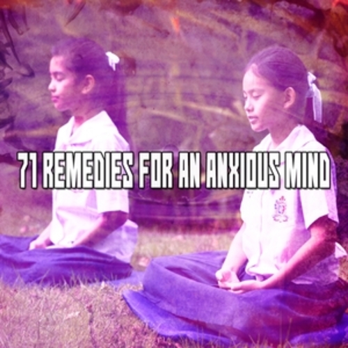 Afficher "71 Remedies For An Anxious Mind"