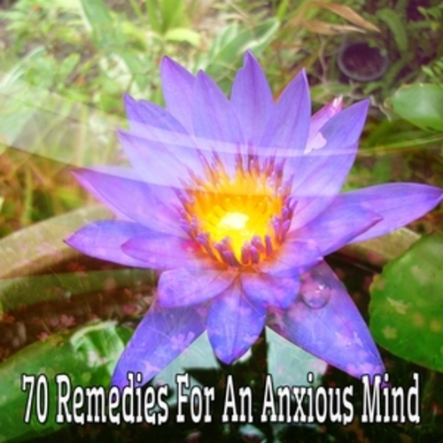 Afficher "70 Remedies For An Anxious Mind"