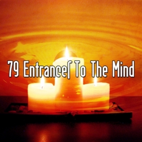 Afficher "79 Entrances To The Mind"