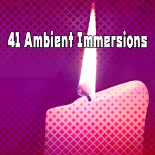 Afficher "41 Ambient Immersions"