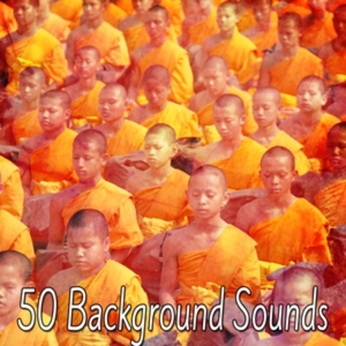 Afficher "50 Background Sounds"