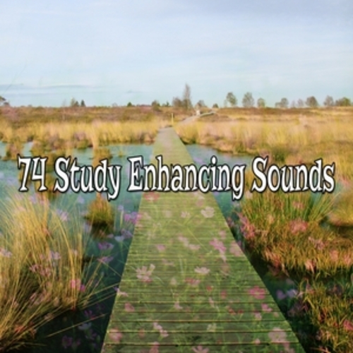 Afficher "74 Study Enhancing Sounds"