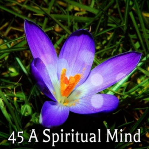 Afficher "45 A Spiritual Mind"