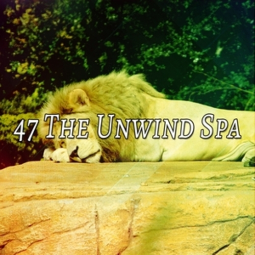 Afficher "47 The Unwind Spa"