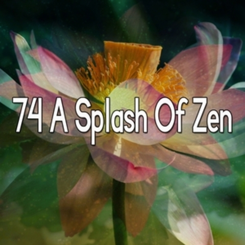 Afficher "74 A Splash Of Zen"
