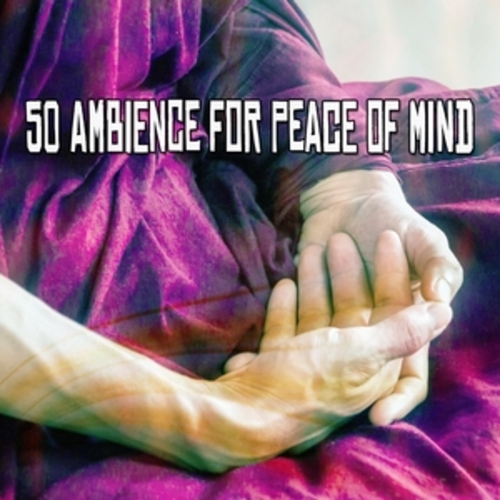 Afficher "50 Ambience For Peace Of Mind"