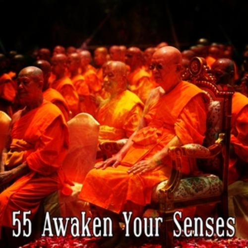 Afficher "55 Awaken Your Senses"