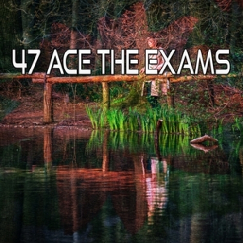 Afficher "47 Ace The Exams"