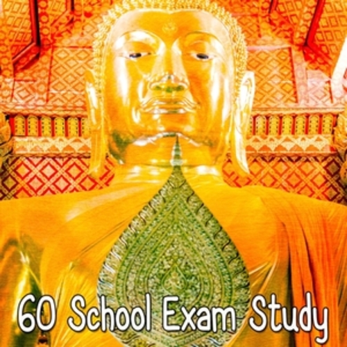 Afficher "60 School Exam Study"