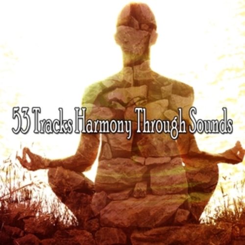 Afficher "53 Tracks Harmony Through Sounds"