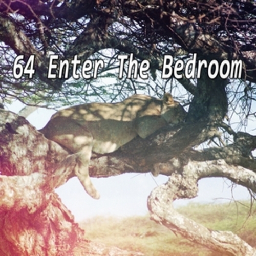 Afficher "64 Enter The Bedroom"