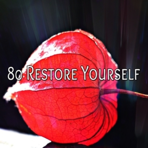 Afficher "80 Restore Yourself"