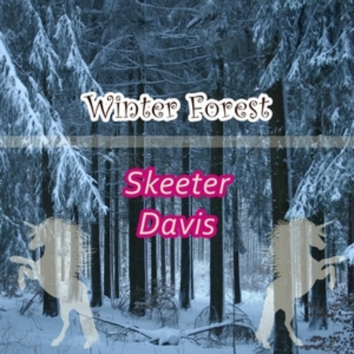Afficher "Winter Forest"